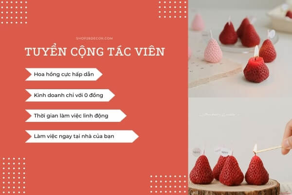 chính sách CTV shopbongda